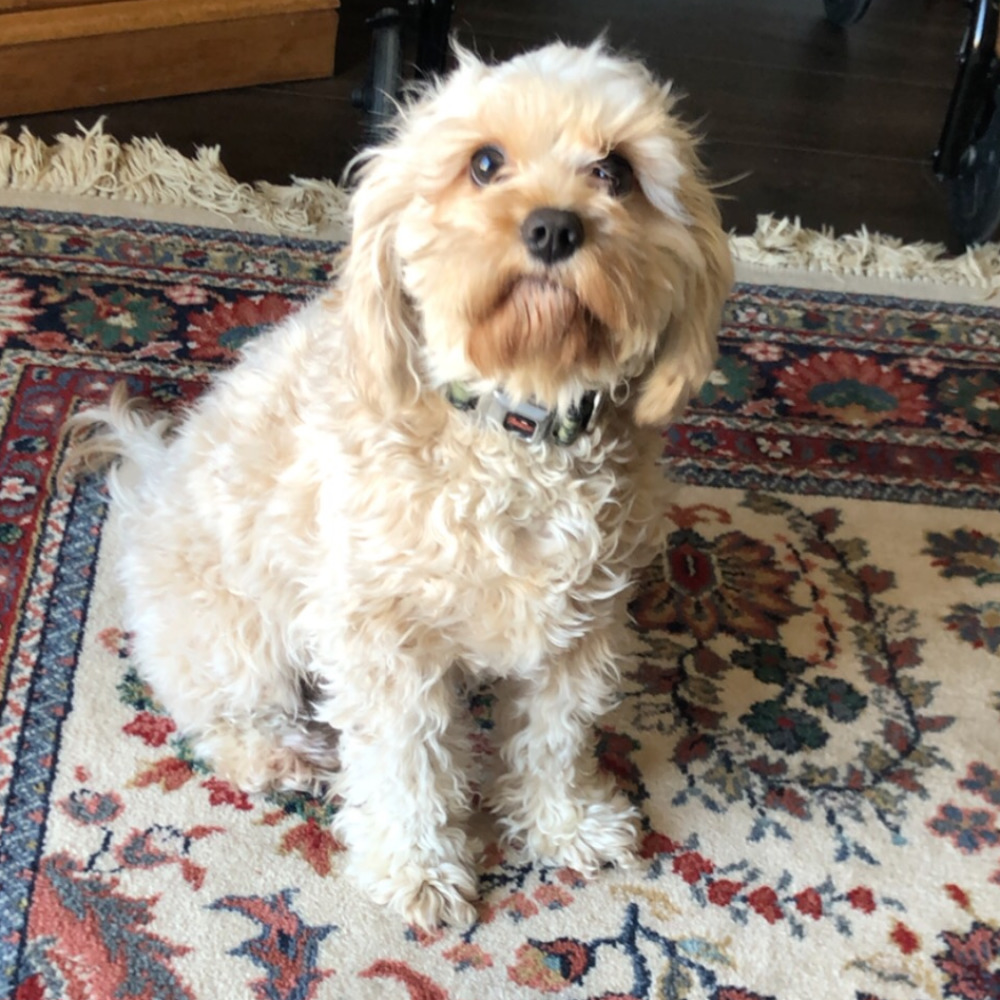 Meet your Posher, Jaclyn